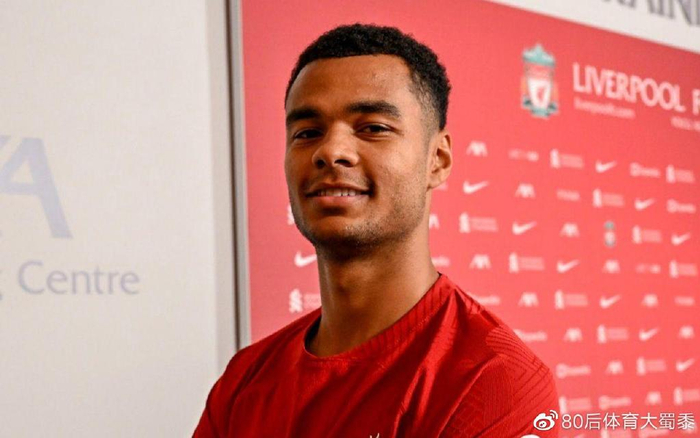 最终击败其 最终击败其