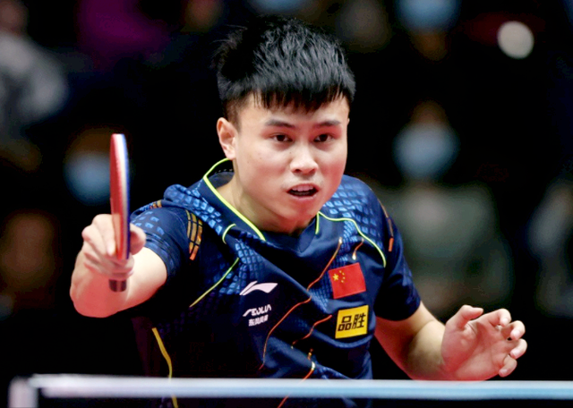 的草地上 的草地上