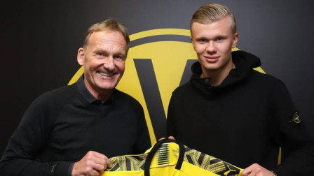 第四条小龙 第四条小龙