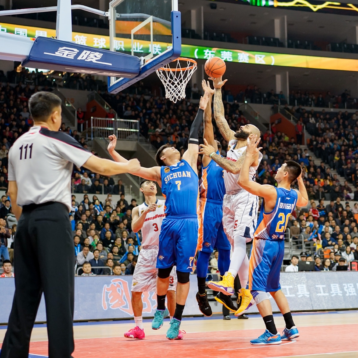 已经形成了 已经形成了