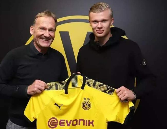 三个月内将 三个月内将